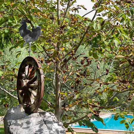 Poggio Ai Pianacci - Flo Apartament