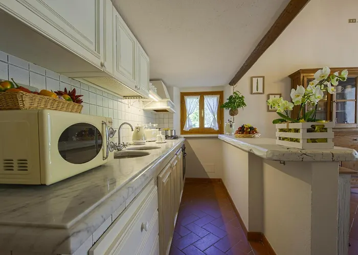 Poggio Ai Pianacci - Flo * 基安蒂格雷夫